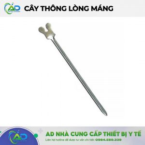Cây thông lòng máng