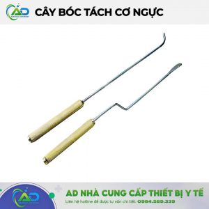 Cây bóc tách cơ ngực